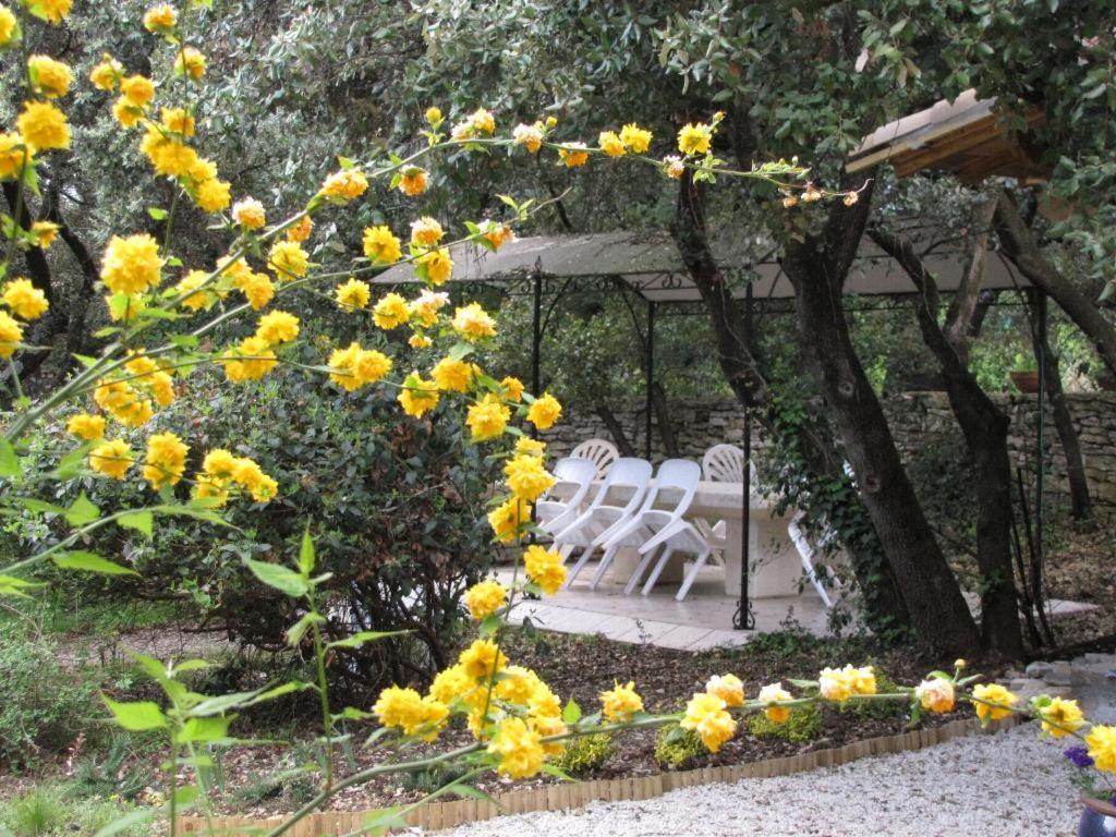 Domaine du bois gîte Marion Galargues Extérieur photo